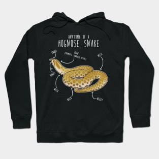 Lemon Hypo Ghost Hognose Snake Anatomy Hoodie